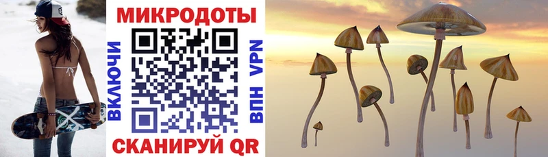 купить наркотик  МЕГА рабочий сайт  Галлюциногенные грибы Magic Shrooms  Нолинск 